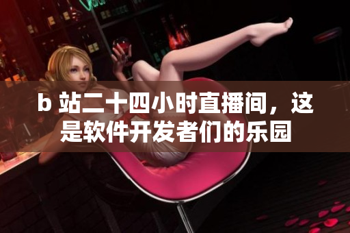 b 站二十四小时直播间，这是软件开发者们的乐园