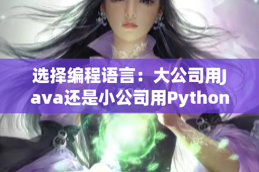 选择编程语言：大公司用Java还是小公司用Python？