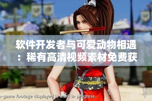 软件开发者与可爱动物相遇：稀有高清视频素材免费获取