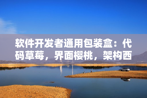 软件开发者通用包装盒：代码草莓，界面樱桃，架构西瓜，用户体验榴莲