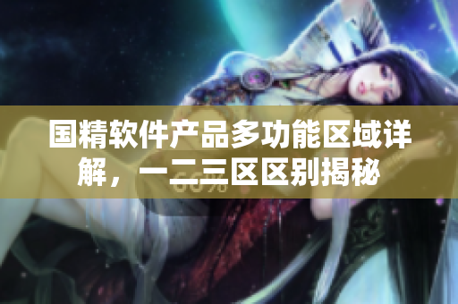 国精软件产品多功能区域详解，一二三区区别揭秘