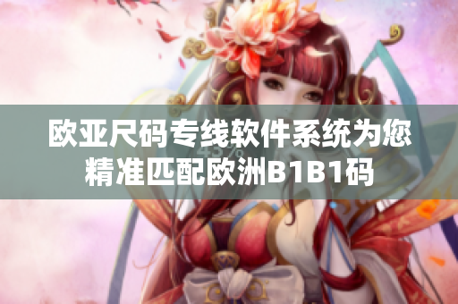 欧亚尺码专线软件系统为您精准匹配欧洲B1B1码