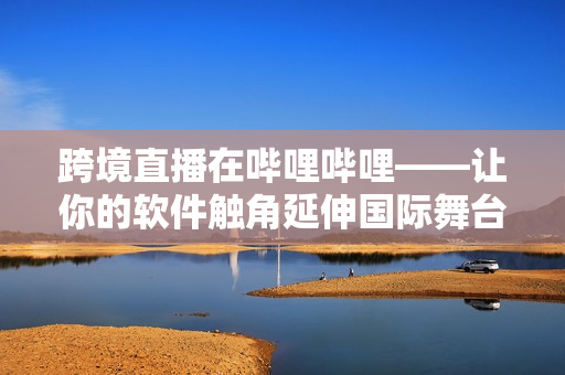 跨境直播在哔哩哔哩——让你的软件触角延伸国际舞台