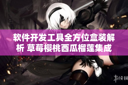 软件开发工具全方位盒装解析 草莓樱桃西瓜榴莲集成方案