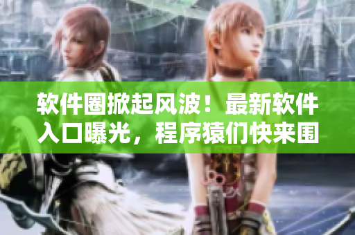软件圈掀起风波！最新软件入口曝光，程序猿们快来围观最新动态