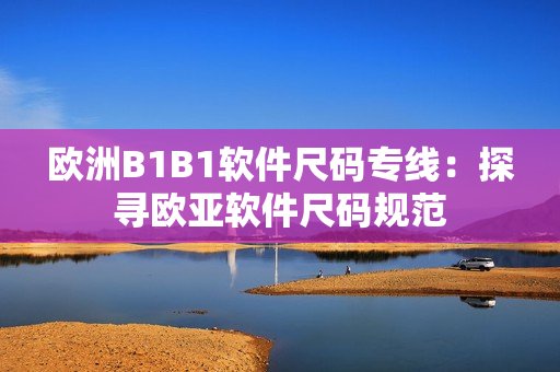 欧洲B1B1软件尺码专线：探寻欧亚软件尺码规范