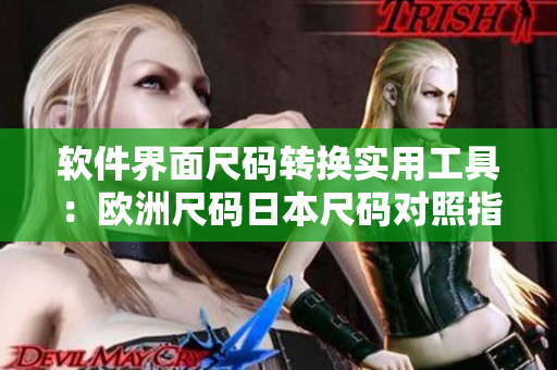 软件界面尺码转换实用工具：欧洲尺码日本尺码对照指南