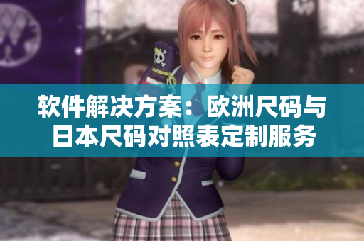 软件解决方案：欧洲尺码与日本尺码对照表定制服务