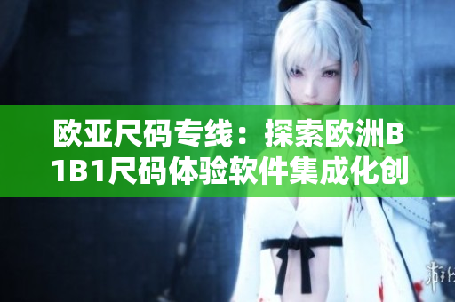 欧亚尺码专线：探索欧洲B1B1尺码体验软件集成化创新