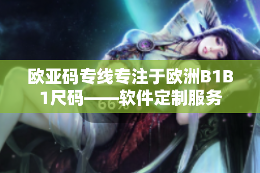 欧亚码专线专注于欧洲B1B1尺码——软件定制服务