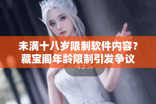 未满十八岁限制软件内容？藏宝阁年龄限制引发争议