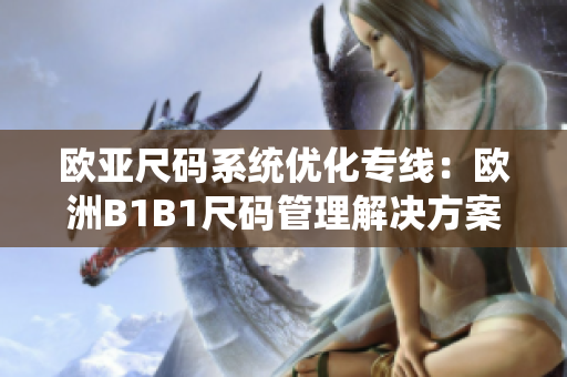 欧亚尺码系统优化专线：欧洲B1B1尺码管理解决方案