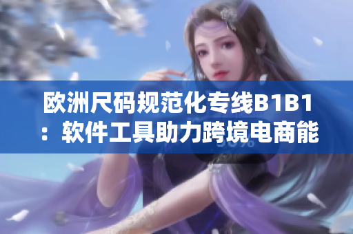 欧洲尺码规范化专线B1B1：软件工具助力跨境电商能源系统管理