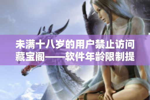未满十八岁的用户禁止访问藏宝阁——软件年龄限制提醒