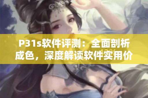 P31s软件评测：全面剖析成色，深度解读软件实用价值
