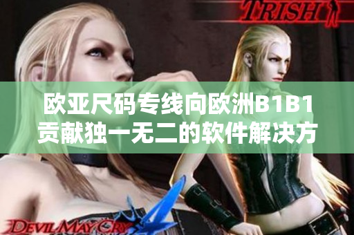 欧亚尺码专线向欧洲B1B1贡献独一无二的软件解决方案