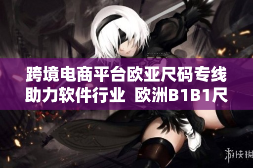 跨境电商平台欧亚尺码专线助力软件行业  欧洲B1B1尺码解析