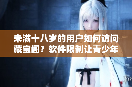 未满十八岁的用户如何访问藏宝阁？软件限制让青少年保持安全上网!