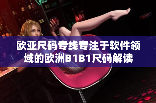 欧亚尺码专线专注于软件领域的欧洲B1B1尺码解读