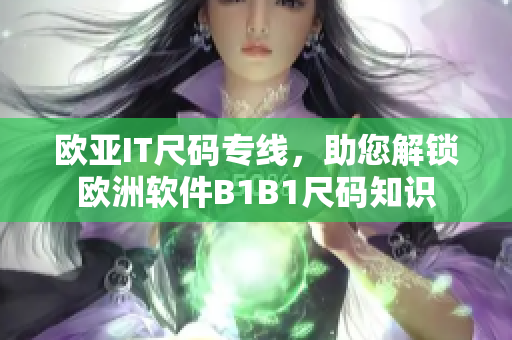 欧亚IT尺码专线，助您解锁欧洲软件B1B1尺码知识
