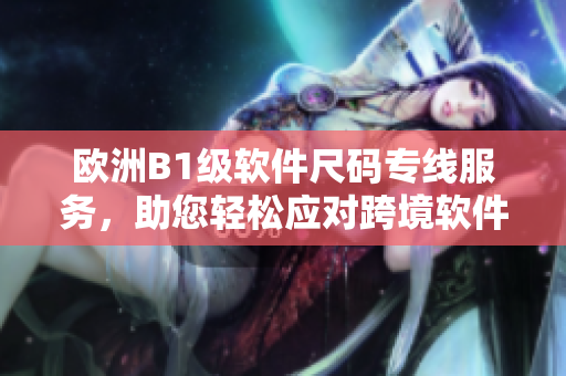 欧洲B1级软件尺码专线服务，助您轻松应对跨境软件开发难题