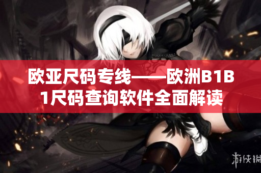 欧亚尺码专线——欧洲B1B1尺码查询软件全面解读