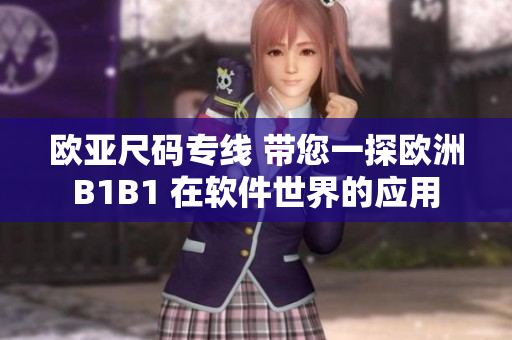 欧亚尺码专线 带您一探欧洲B1B1 在软件世界的应用