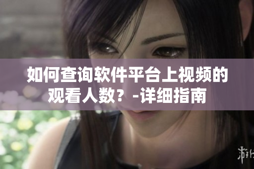 如何查询软件平台上视频的观看人数？-详细指南