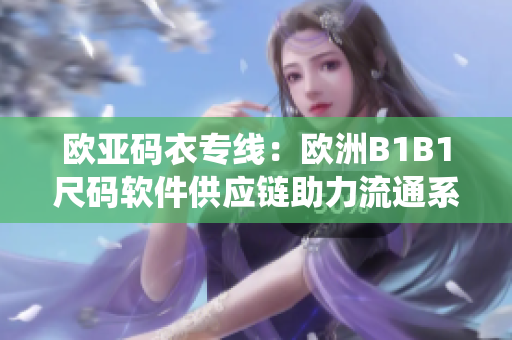 欧亚码衣专线：欧洲B1B1尺码软件供应链助力流通系统