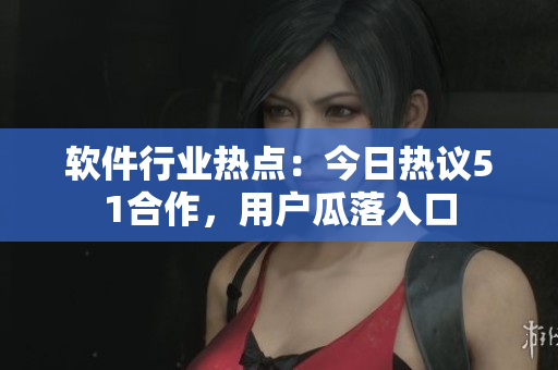 软件行业热点：今日热议51合作，用户瓜落入口