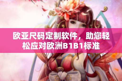 欧亚尺码定制软件，助您轻松应对欧洲B1B1标准