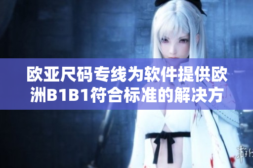 欧亚尺码专线为软件提供欧洲B1B1符合标准的解决方案