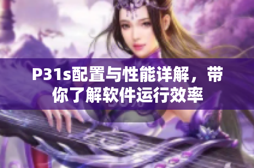 P31s配置与性能详解，带你了解软件运行效率