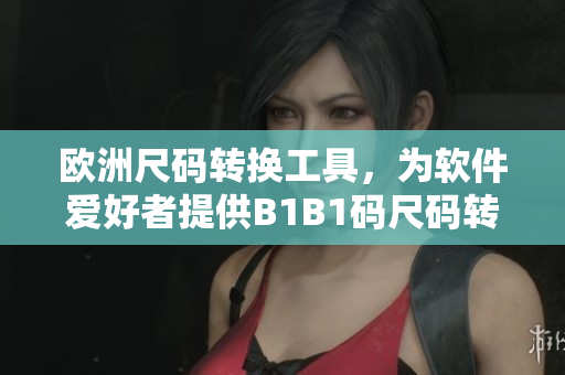 欧洲尺码转换工具，为软件爱好者提供B1B1码尺码转换服务