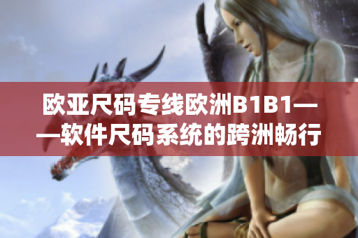 欧亚尺码专线欧洲B1B1——软件尺码系统的跨洲畅行