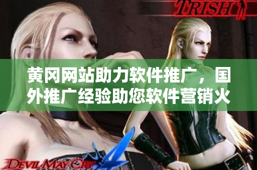 黄冈网站助力软件推广，国外推广经验助您软件营销火起来