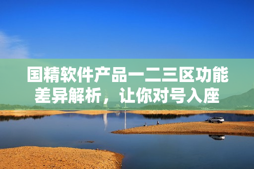 国精软件产品一二三区功能差异解析，让你对号入座