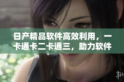 日产精品软件高效利用，一卡通卡二卡通三，助力软件快速开发与运行