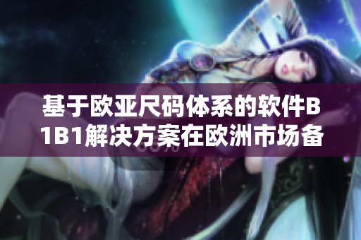 基于欧亚尺码体系的软件B1B1解决方案在欧洲市场备受欢迎