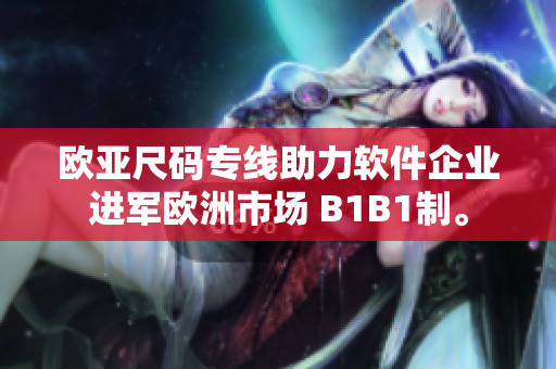 欧亚尺码专线助力软件企业进军欧洲市场 B1B1制。