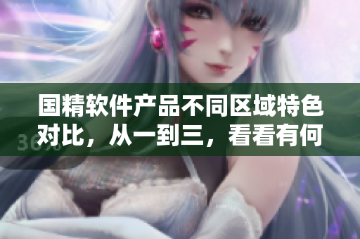 国精软件产品不同区域特色对比，从一到三，看看有何区别