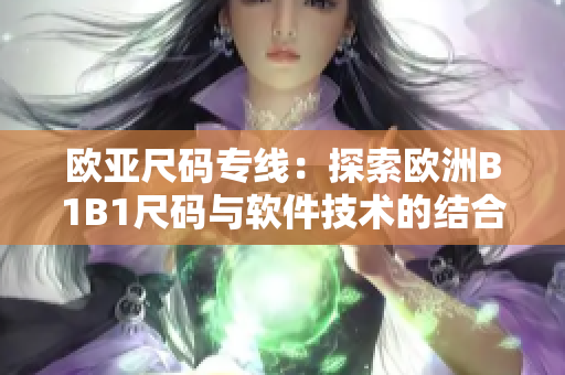 欧亚尺码专线：探索欧洲B1B1尺码与软件技术的结合