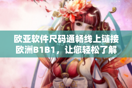 欧亚软件尺码通畅线上链接欧洲B1B1，让您轻松了解软件行业规范