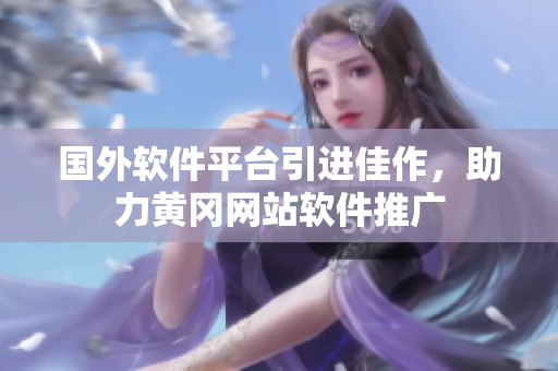 国外软件平台引进佳作，助力黄冈网站软件推广