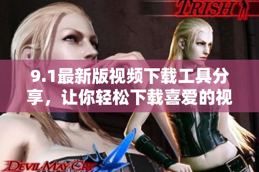 9.1最新版视频下载工具分享，让你轻松下载喜爱的视频
