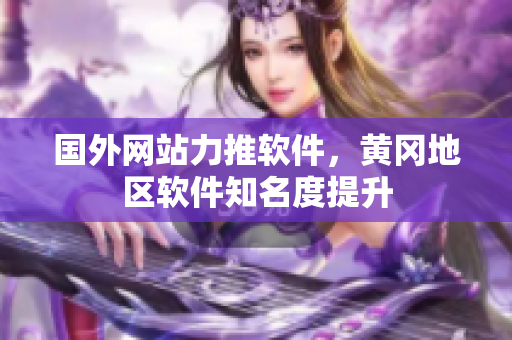 国外网站力推软件，黄冈地区软件知名度提升