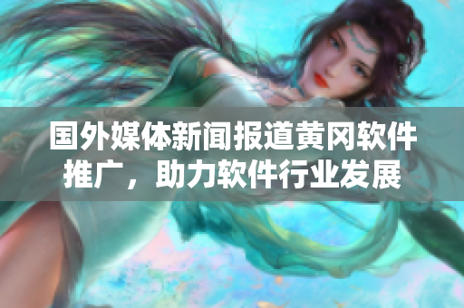 国外媒体新闻报道黄冈软件推广，助力软件行业发展