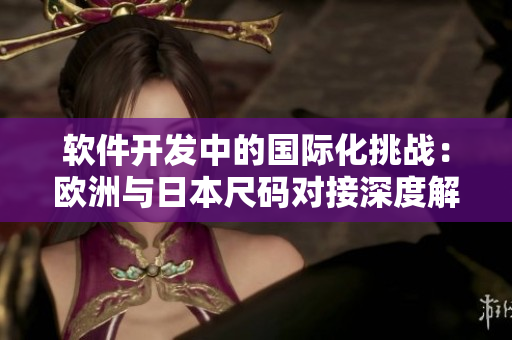 软件开发中的国际化挑战：欧洲与日本尺码对接深度解析