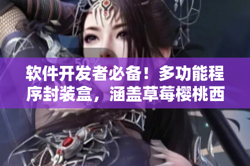 软件开发者必备！多功能程序封装盒，涵盖草莓樱桃西瓜榴莲功能。