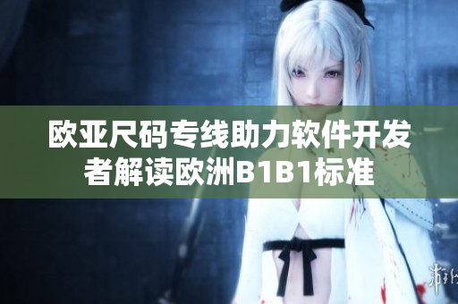 欧亚尺码专线助力软件开发者解读欧洲B1B1标准